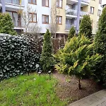 Sunandrelax - Sloneczny Appartement *